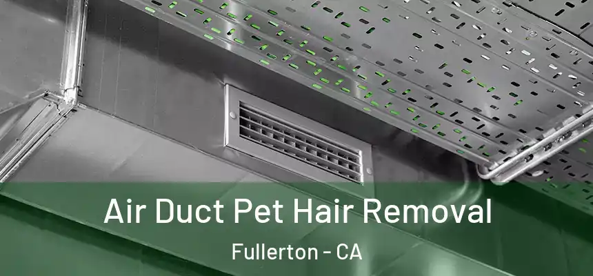 Air Duct Pet Hair Removal Fullerton - CA