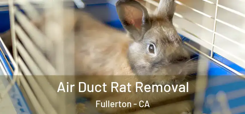  Air Duct Rat Removal Fullerton - CA