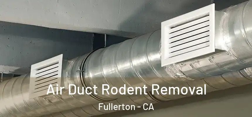 Air Duct Rodent Removal Fullerton - CA