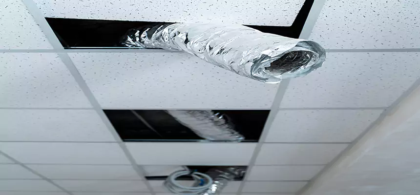 Affordable HVAC Sanitizing After Pest Removal in Fullerton