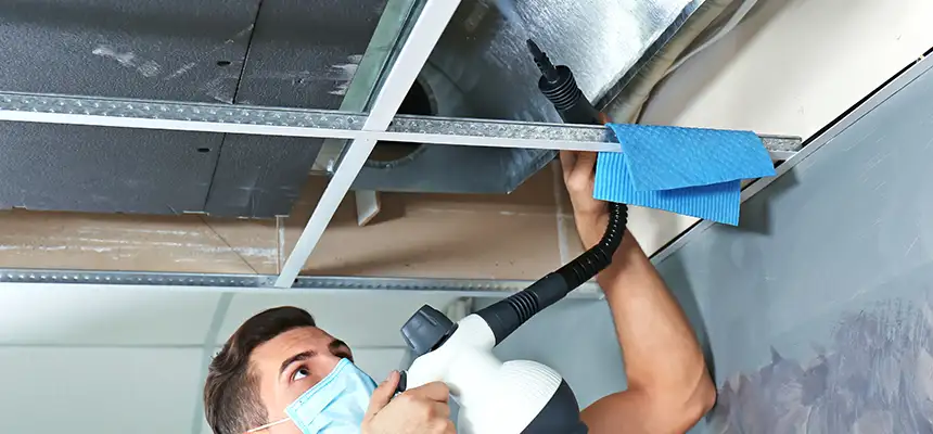 Our Air Duct Rodent Removal Services in Fullerton, CA