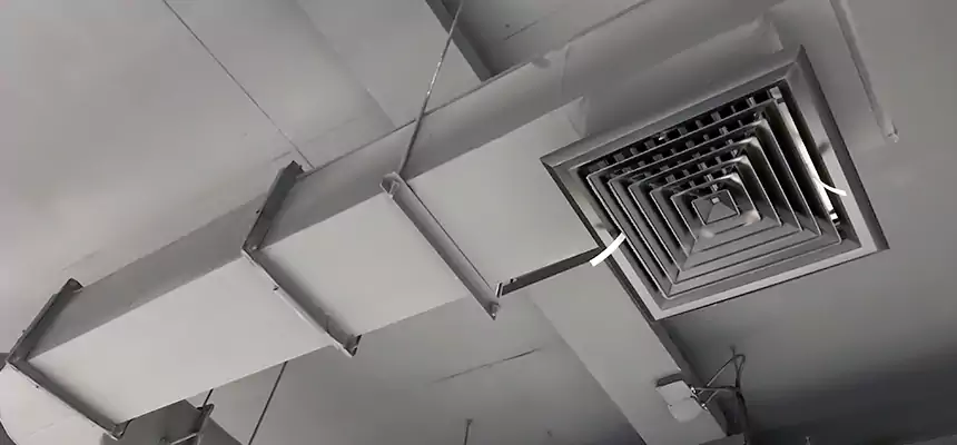 Our Pest Removal From Ducts Services in Fullerton, CA