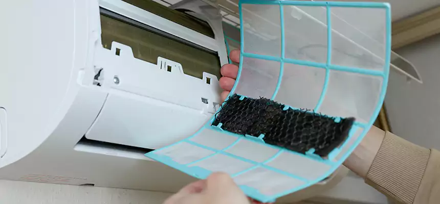 Gentle Ductwork Odor-Control Pet Dander Duct Cleaning in Fullerton, CA