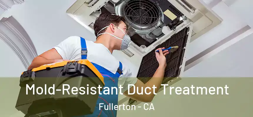 Mold-Resistant Duct Treatment Fullerton - CA