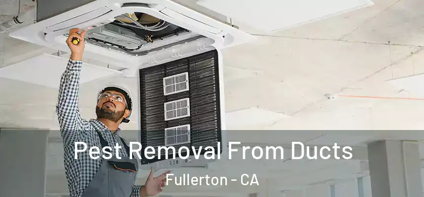 Pest Removal From Ducts Fullerton - CA