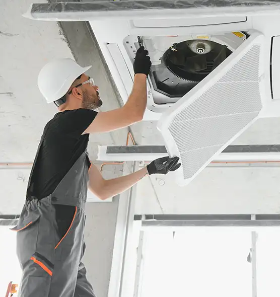 About Air Duct Rodent Removal in Fullerton, CA