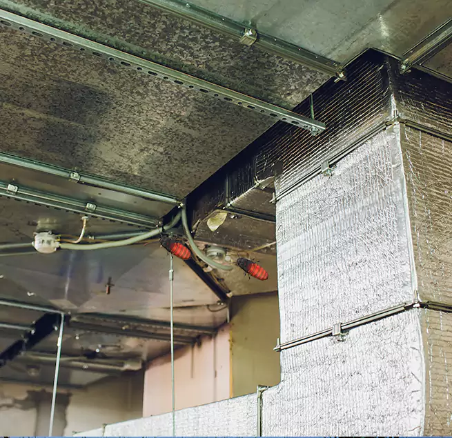 Why Homeowners & Businesses Trust Us in Fullerton, CA?