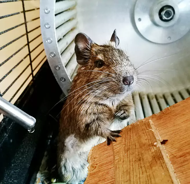 Why Homeowners & Businesses Trust Us Fullerton, CA?