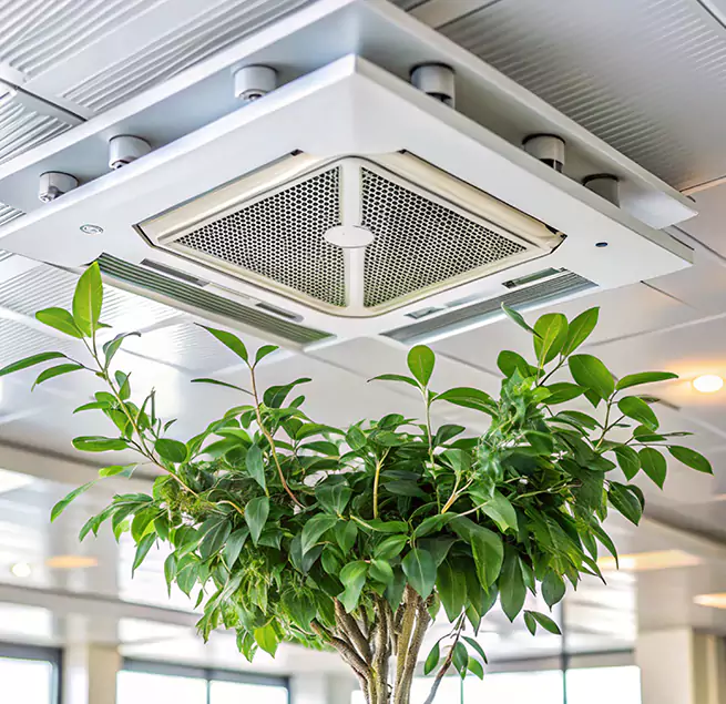 Why Homeowners & Businesses Trust Us in Fullerton, CA